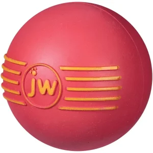 JW iSqueak Ball Dog Toy Medium