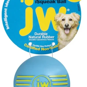 JW iSqueak Ball Dog Toy Small