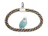 JW Pet Swing N Perch Ring Multi-Color 1ea/SM - Image 2