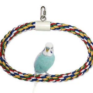 JW Pet Swing N Perch Ring Multi-Color 1ea/SM