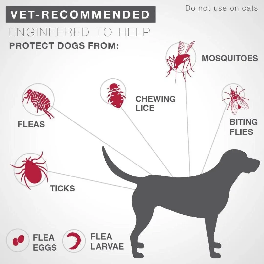K9 Advantix II Flea, Tick & Mosquito Protection Large Dog 21-55lbs - Image 2