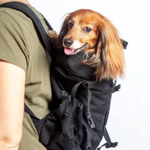 K9 Sport Sack Dog Backpack (Air 2) (FINAL SALE)