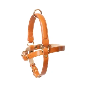 KANDOG Leather Handle Harness