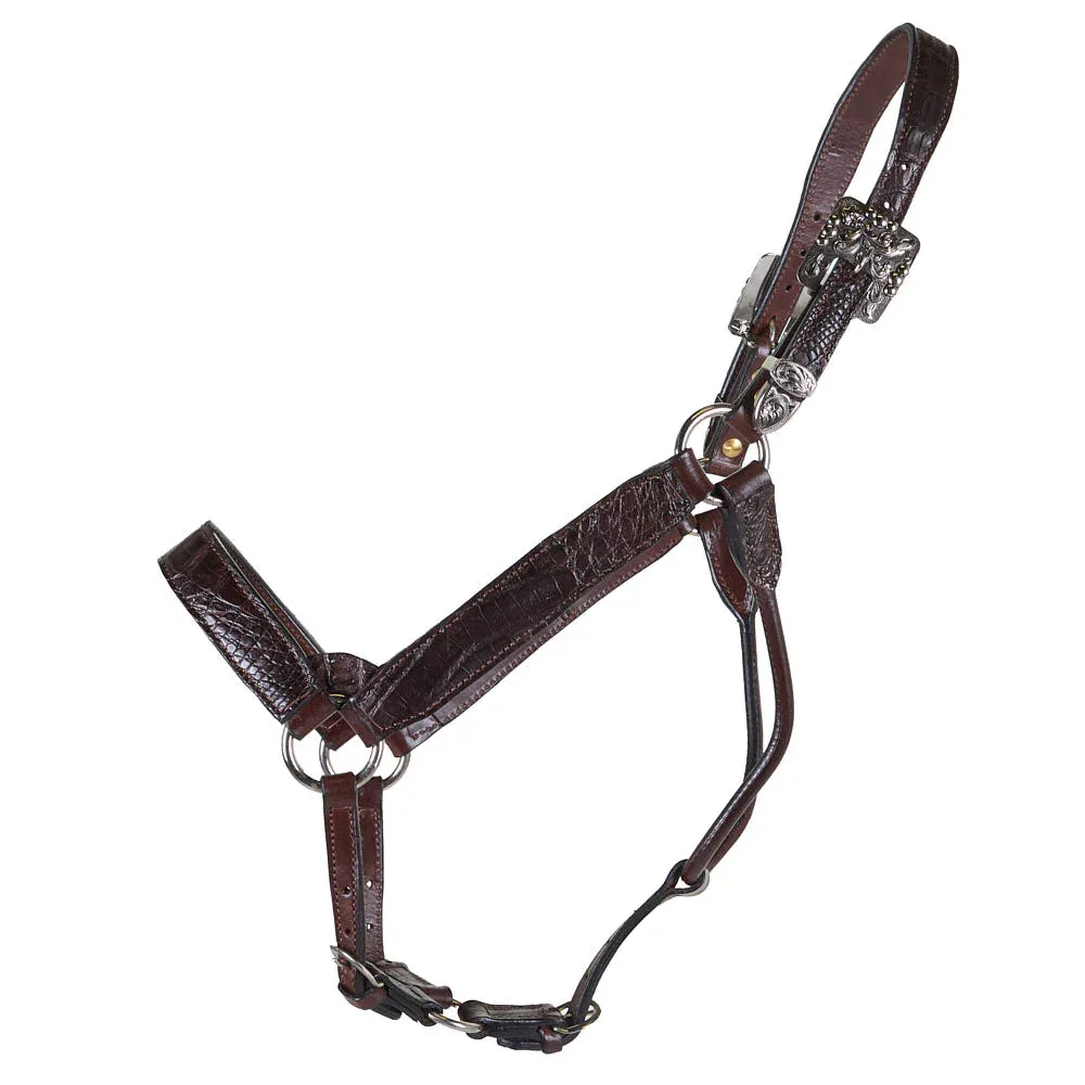 Kathys Show Equipment Genuine Caiman Leather Show Halter - Image 2