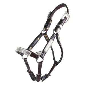 Kathys Show Equipment Santana Weanling Congress Cut Show Halter