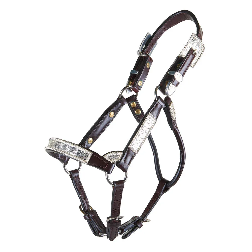 Kathys Show Equipment Santana Weanling Congress Cut Show Halter
