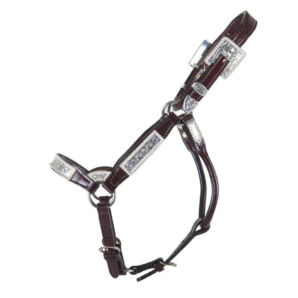 Kathys Show Equipment Santana Weanling Congress Cut Show Halter - Image 2