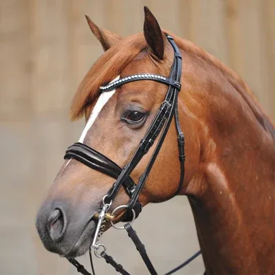 Kavalkade Antonia Patent Leather Double Bridle