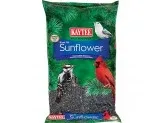 Kaytee Black Oil Sunflower Food 1ea/5 lb - Image 2