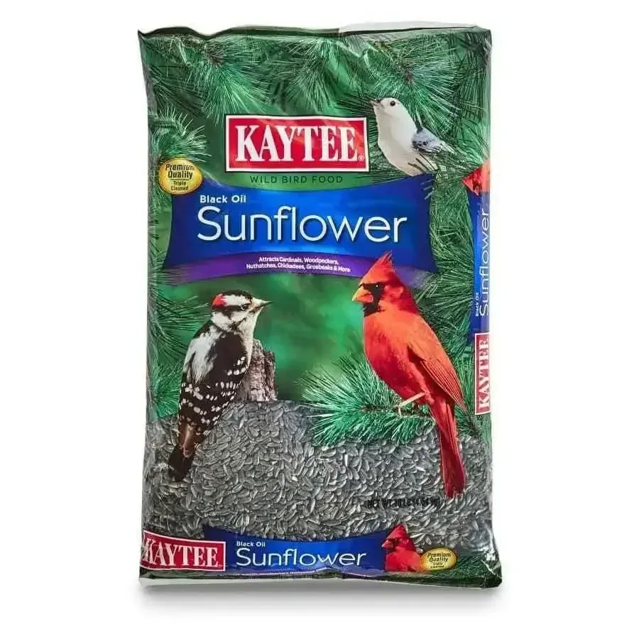 Kaytee Black Oil Sunflower Food