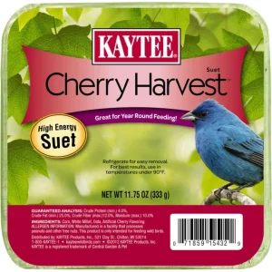 Kaytee Cherry Harvest High Energy Suet 1ea/11.75 oz