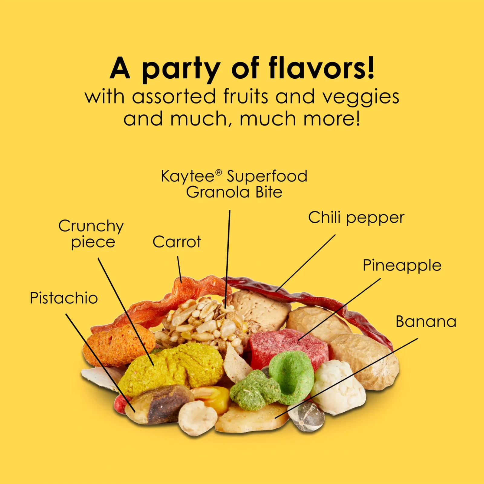Kaytee Fiesta Parrot Food 1ea/25 lb - Image 2