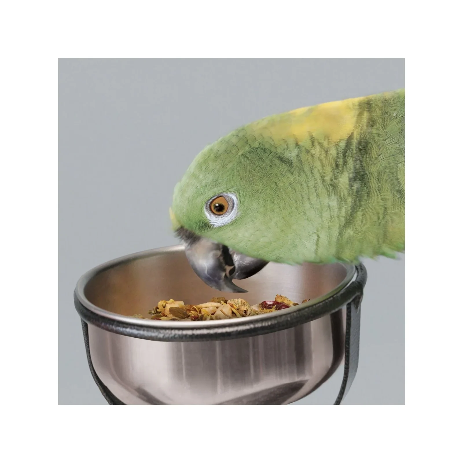 Kaytee Food from the Wild Natural Snack Med/Lrg Pet Bird 1ea/3oz. - Image 2