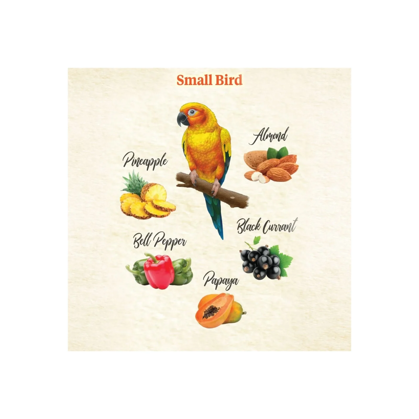 Kaytee Food From the Wild Natural Snack Small Pet Bird 1ea/3oz. - Image 2