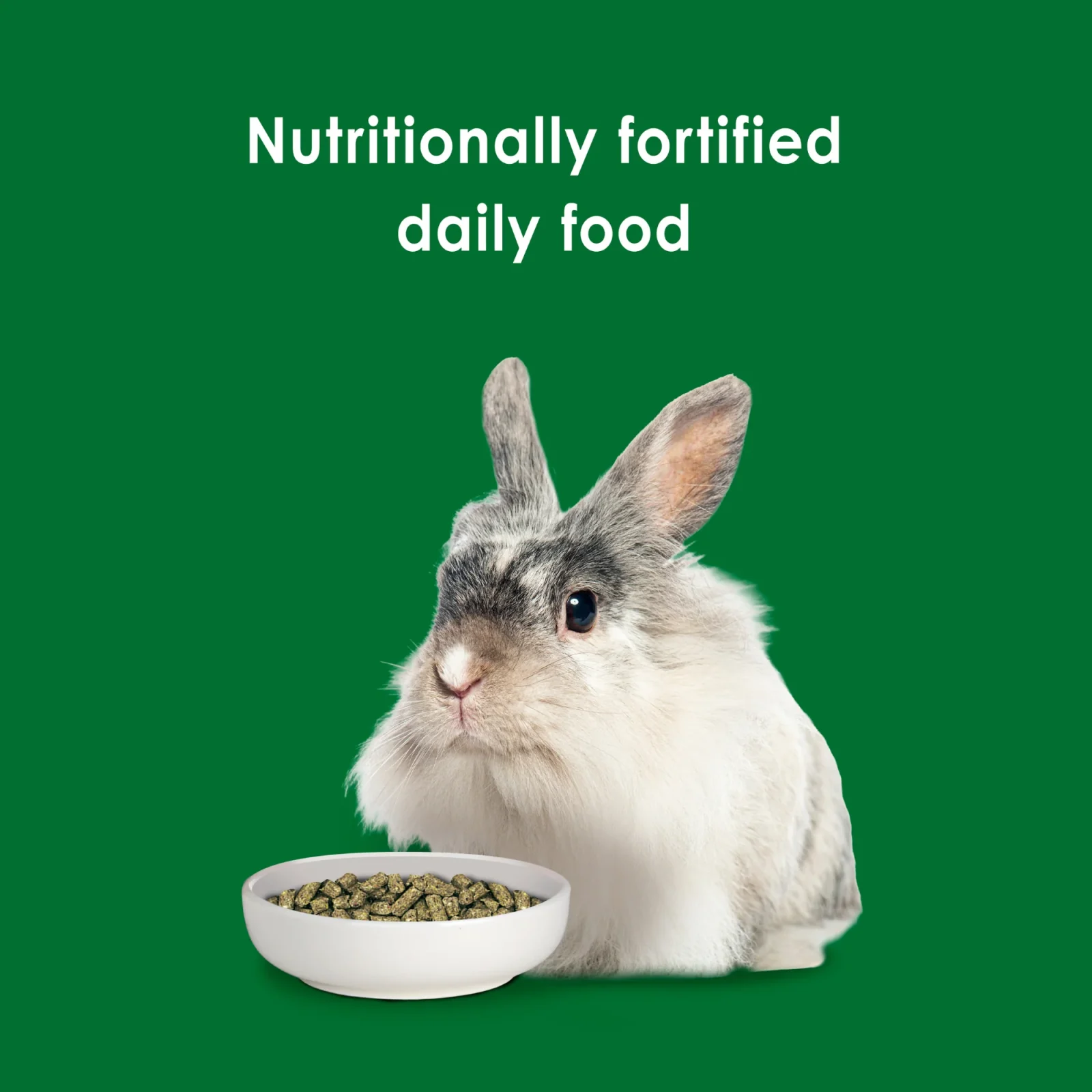 Kaytee Forti Diet Rabbit Food, 5 Lb - Image 2