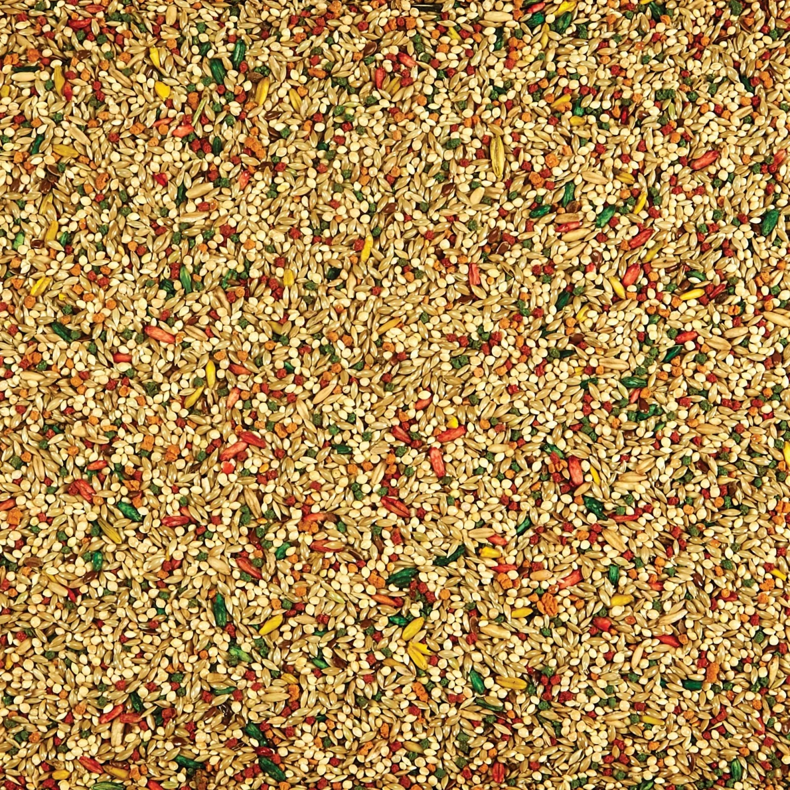 Kaytee Parakeet Food 1ea/2 lb - Image 2