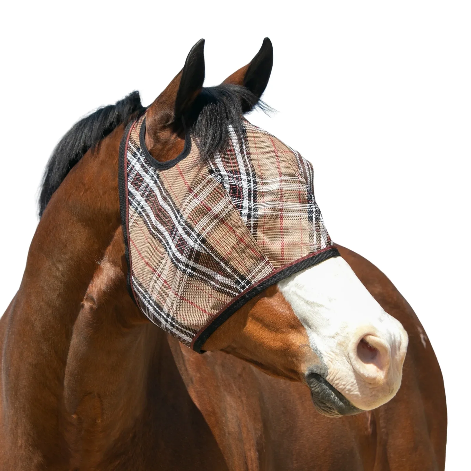 Kensington Fly Mask with 73% UV Protection - Open Top Design