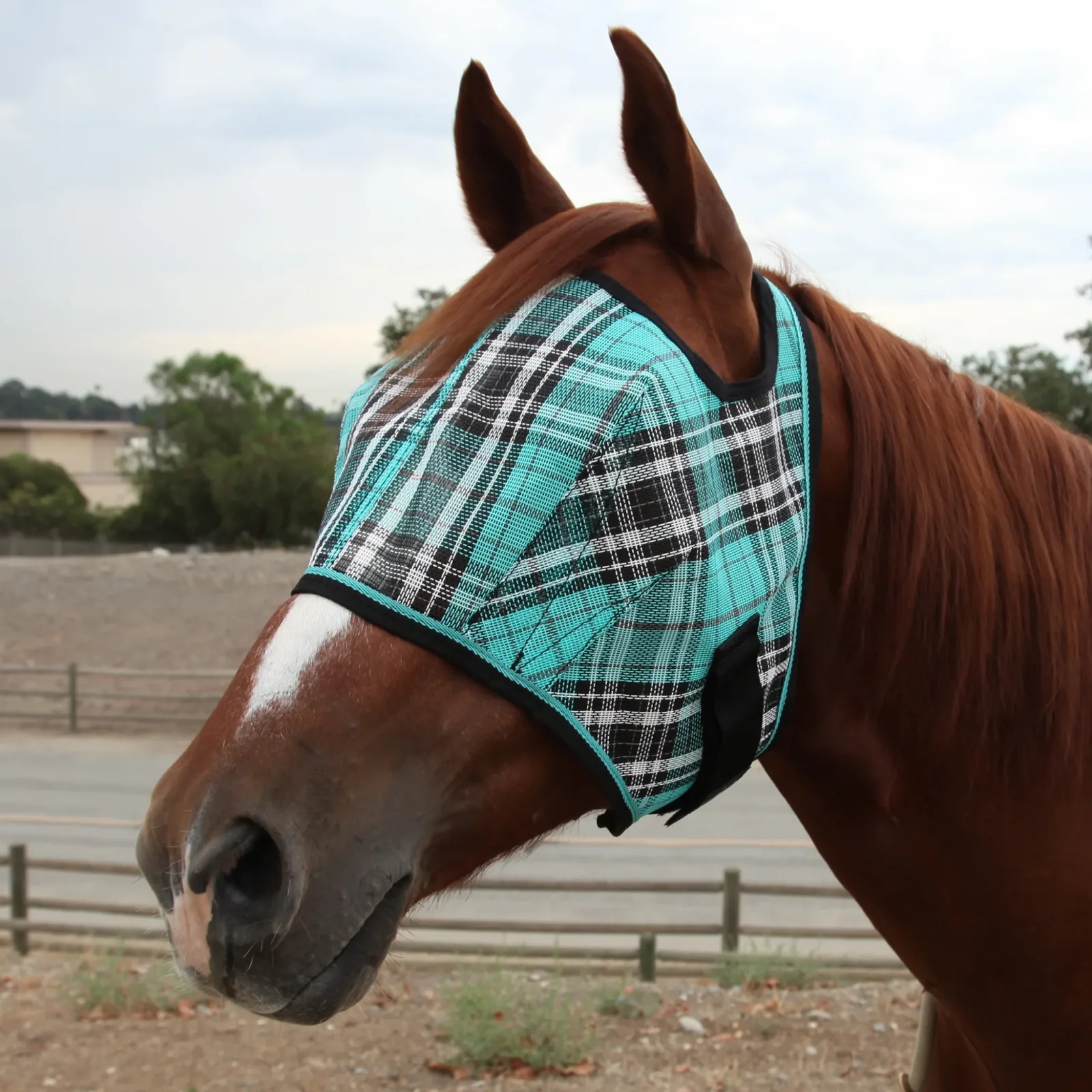 Kensington Fly Mask with 73% UV Protection - Open Top Design - Image 2