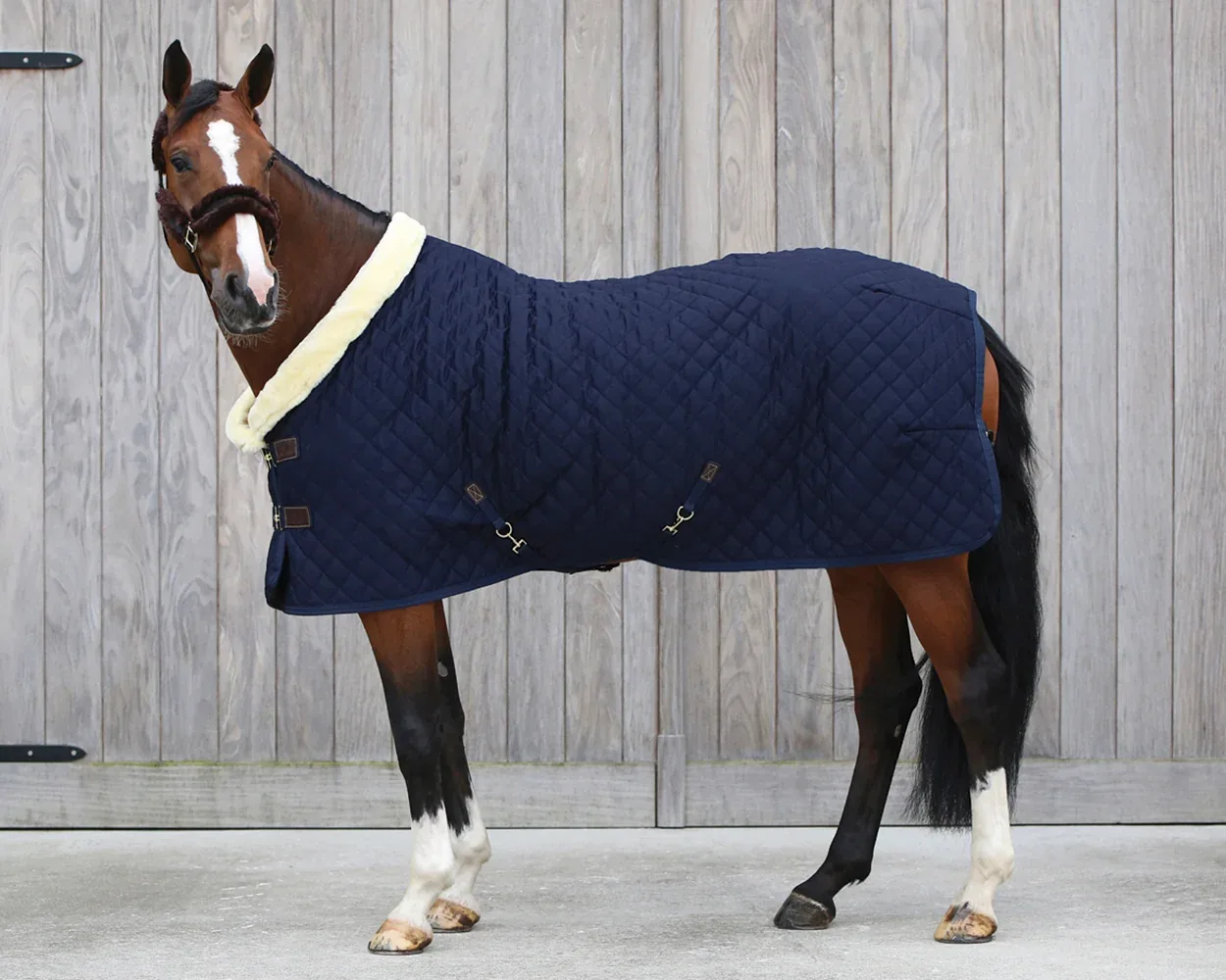 Kentucky Horsewear Show Rug