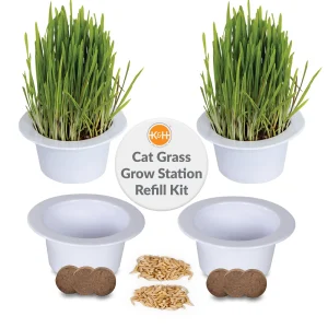 K&H Cat Grass Grow Station Refill Kit 2 Count