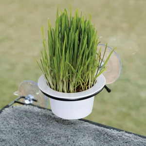 K&H Pet Products EZ Mount Window Cat Grass Grow Station