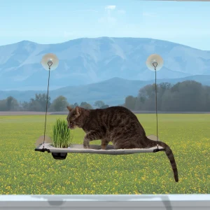 K&H Window Loungers with Cat Grass Grow Station