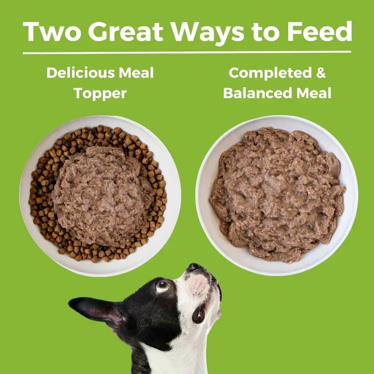 Koha Dog Limited Ingredient Grain Free 90% Duck 13oz. (Case of 12) - Image 2