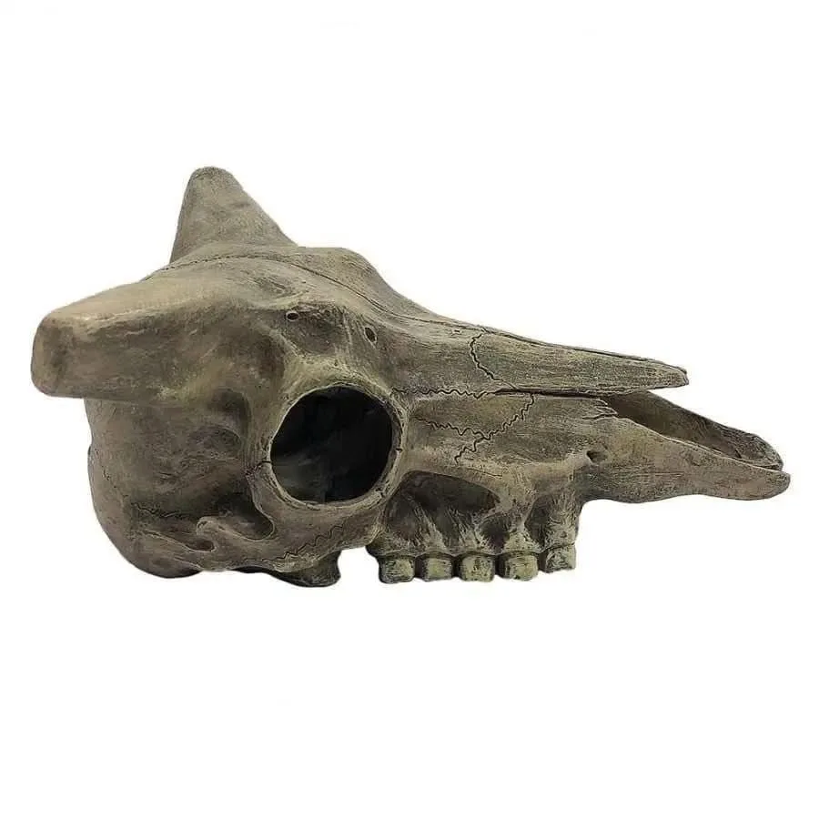 Komodo Deer Skull Reptile Hideout Deer Skull Gray 1ea/One Size - Image 2
