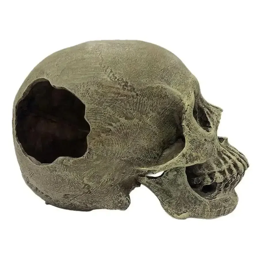 Komodo Full Human Skull Reptile Hideout Full Human Skull Gray One Size