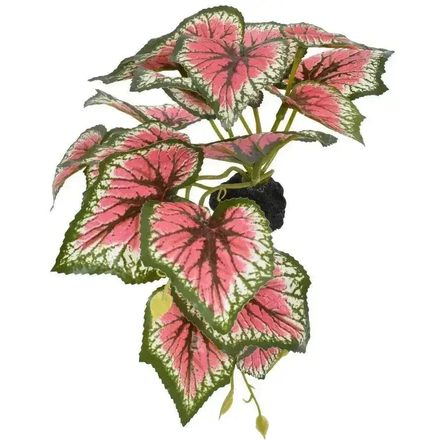 Komodo Standing Caladium Reptile Plant Decor 5 in