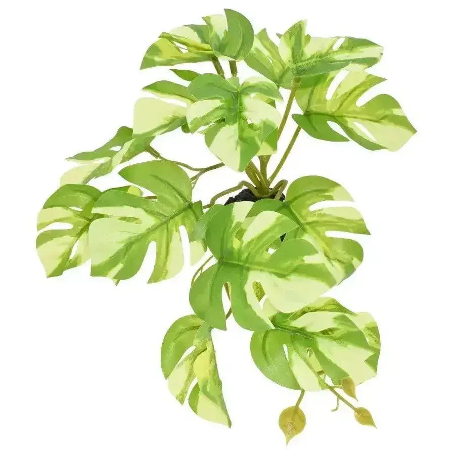 Komodo Standing Varigated Monstera Fake Plants for Reptile Enclosures 5 in