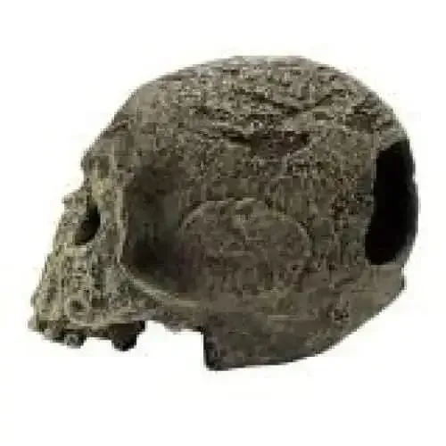 Komodo Textured Human Skull Reptile Hideout Textured Human Skull Gray 1ea/One Size