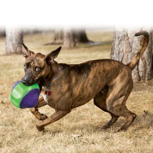 KONG Babbler Dog Toy