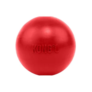 KONG Ball Dog Toy