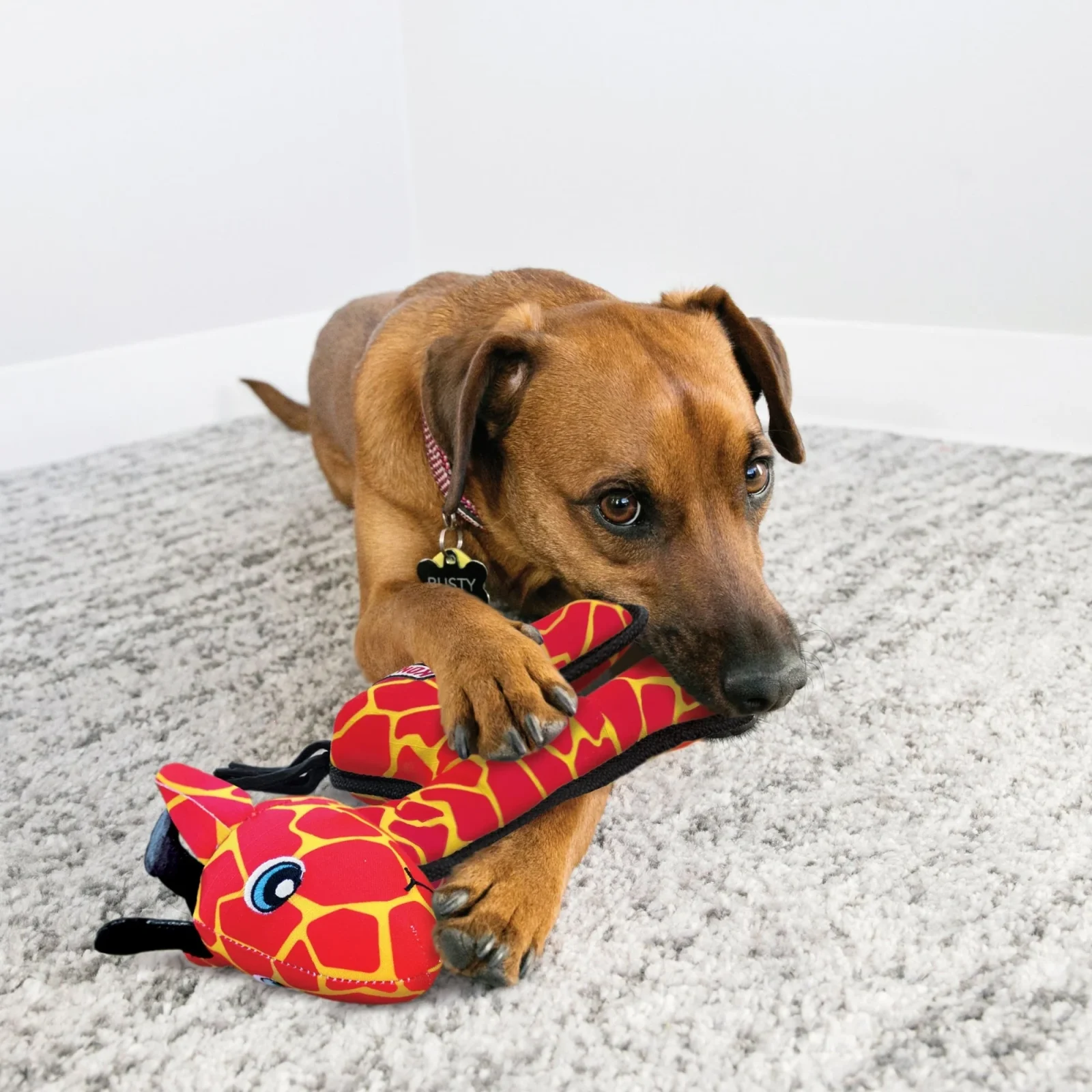 KONG Ballistic Giraffe Dog Toy Medium/Large - Image 2