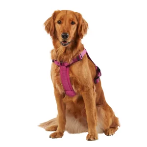 KONG® Dog Harness, Poop Bag Holder, Reflective, Adjustable, Multiple Sizes & Colors