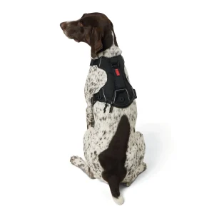 KONG® Dog Harness, Poop Bag Holder, Reflective, Adjustable, Multiple Sizes & Colors