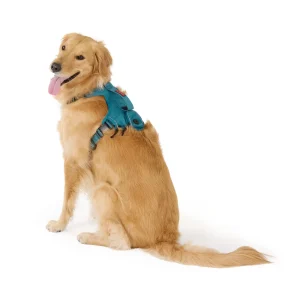 KONG® Dog Harness, Poop Bag Holder, Reflective, Adjustable, Multiple Sizes & Colors