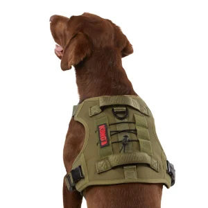 KONG® Double Handle Vest, Adjustable, Dog Harness