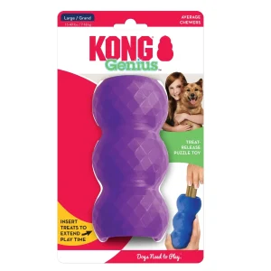 KONG Genius Mike Assorted Dog Toy Large