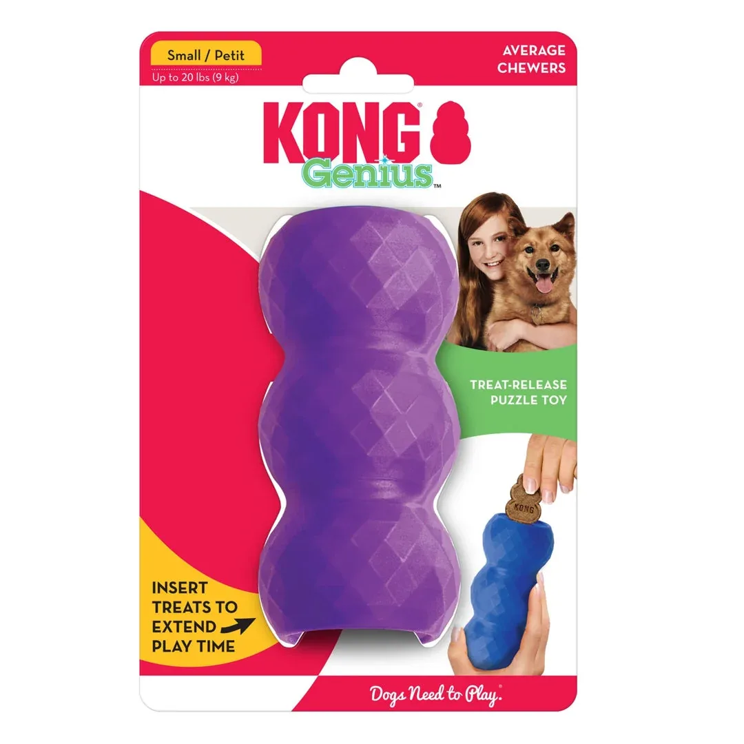 KONG Genius Mike Assorted Dog Toy Small - Image 2