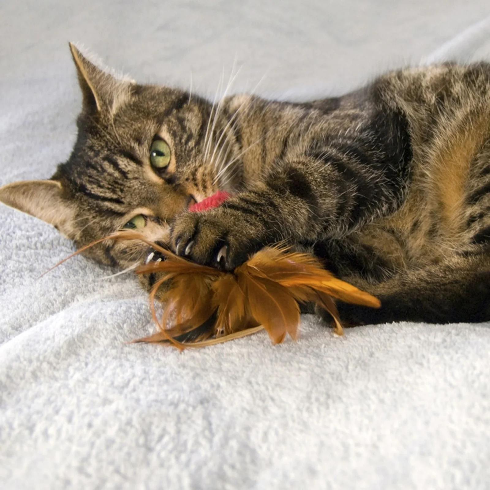 KONG Naturals Crinkle Ball With Feathers Cat Toy, 2-Pack - Image 2