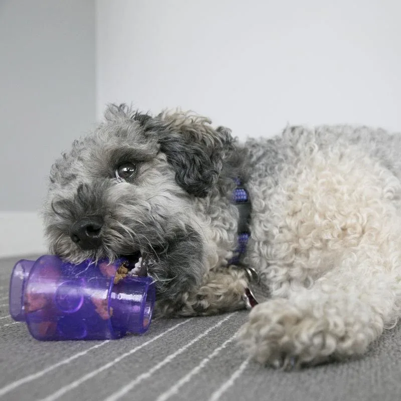 KONG Treat Duo for Dogs