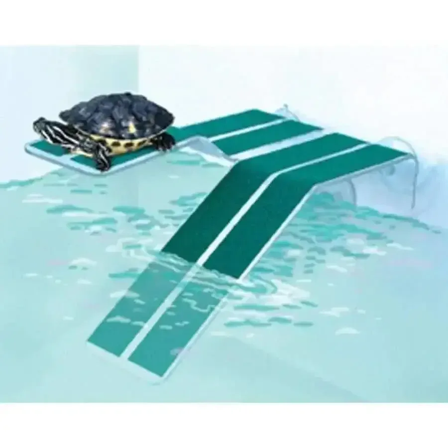 Kordon Turtle Ramp Green, Clear Medium