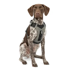 Kurgo® Journey Air Dog Harness