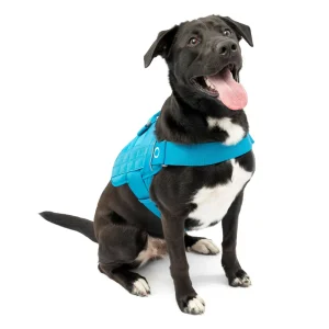 Kurgo® RSG Townie Harness for Dogs