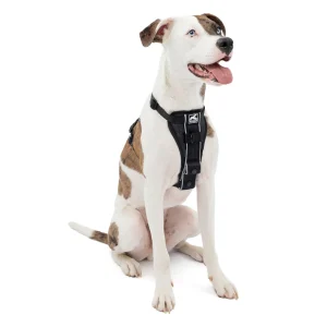 Kurgo® Tru-Fit Dog Harness