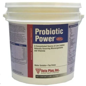 Lacto Powder Probiotic 5lb