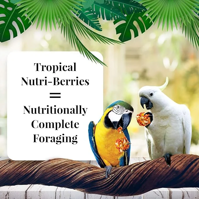 Lafeber Nutri-Berries Tropical Fruit Macaw 3lb - Image 2