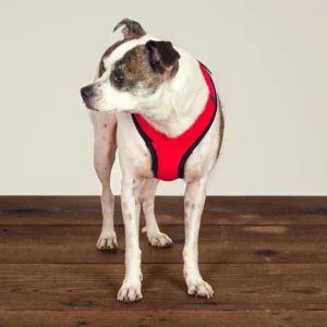 Laguna Dog Harness in Red